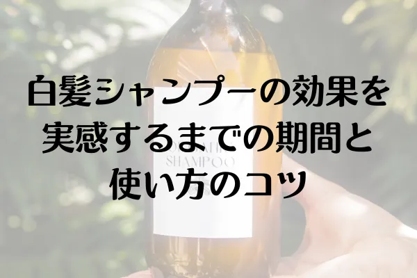 白髪シャンプーの効果を実感するまでの期間と使い方のコツ